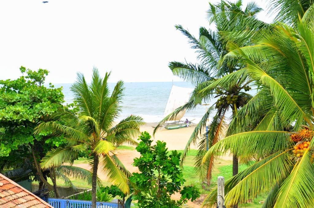 Blumarine Guest House Negombo Rum bild