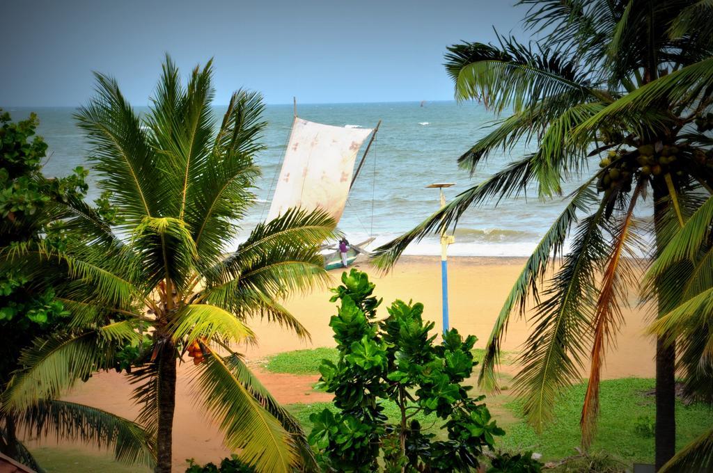 Blumarine Guest House Negombo Exteriör bild
